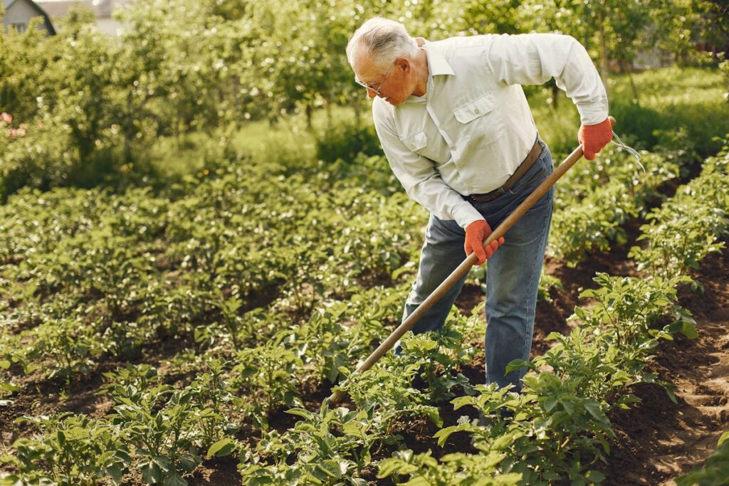 Sustainable Gardening
